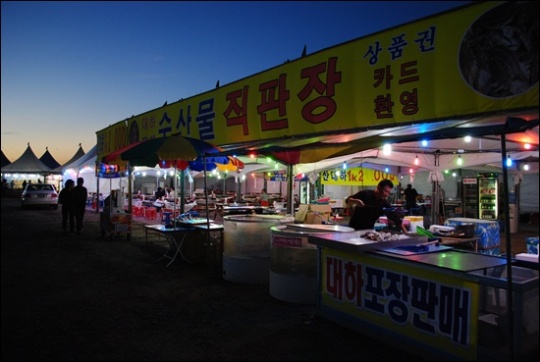 바보 같은 나, 연포에서 진짜 바보와 마주치다