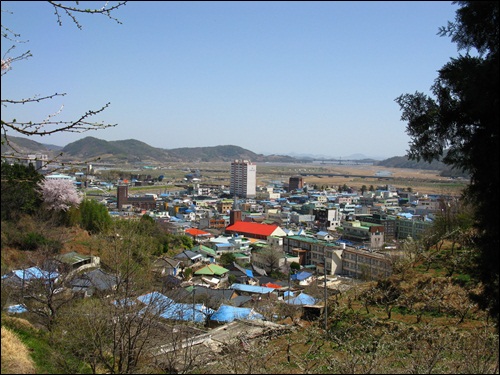 꼬막 정식이 대수야? 벌교의 참맛은 이것