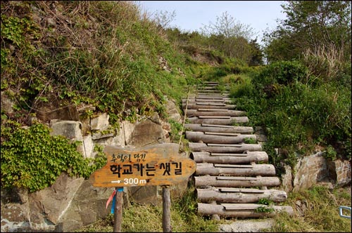 소라, 미역, 톳... 바다 냄새 풀풀 나는 예초리포구