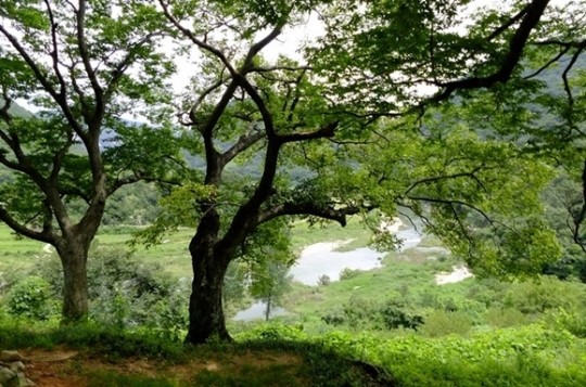 버스도 없는 두메산골에서 낯익은 명패를!