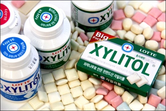 껌 많이 씹으면 사각턱? 치과의사에게 물었다.jpg | 인스티즈