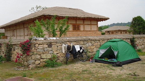 뚝 뚝 뚝... 새벽의 저주가 시작되는 소리