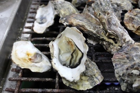 굴구이 덕분에 겨울을 맛있게 먹었다