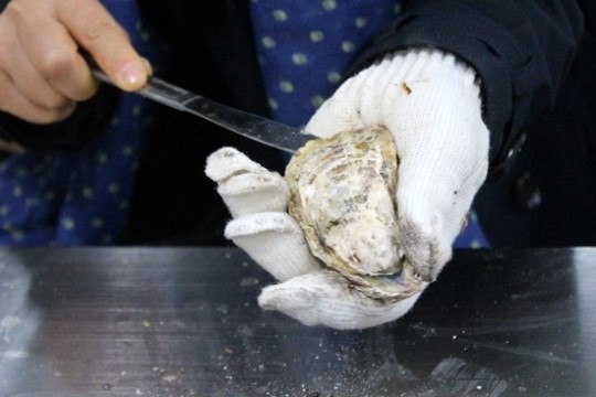 굴구이 덕분에 겨울을 맛있게 먹었다