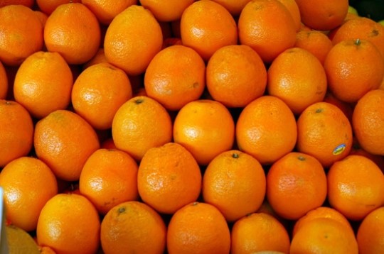 도로에 오렌지가 뒹굴뒹굴...처치 곤란입니다