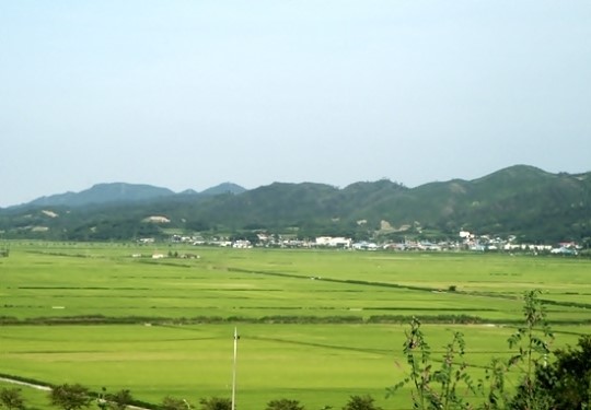 옛날에는 마을 별로 돼지도 잡고 거창했죠!