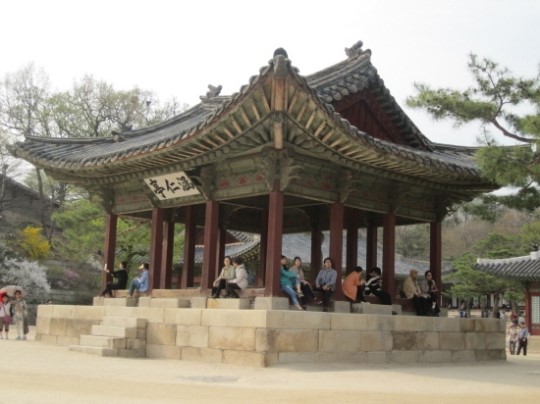 이 봄, 창경궁 나들이 어때요