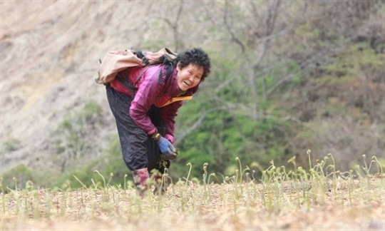 지리산 자락, 고사리 수확 노부부 손길이 정겹다