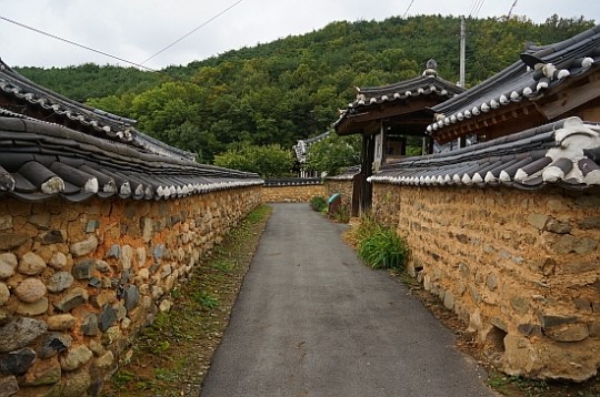 정 없어 보이는 담... 이걸로 품격 올라갔다