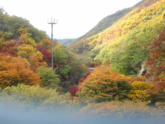 빨갛게 물든 소요산... 비 온 뒤 단풍