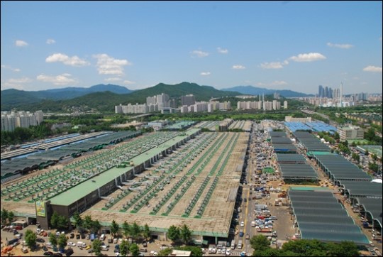 일본식 가락시장 경매제도, 구매자 수요 못 따라가