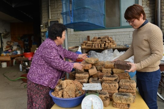 약초 팔아서만 3억 수익... 저는 게으른 농부입니다