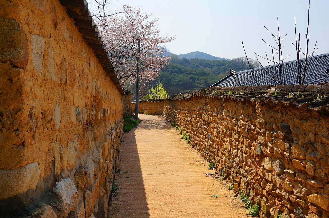삼대가 덕을 쌓아야 가볼 수 있는 명당 별고을