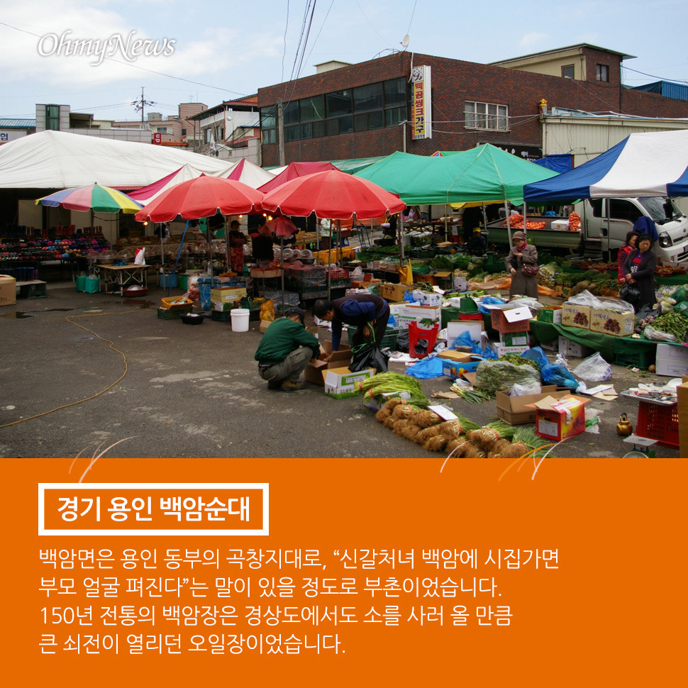백암시장 최고 명물... 기자님도 일단 드셔봐