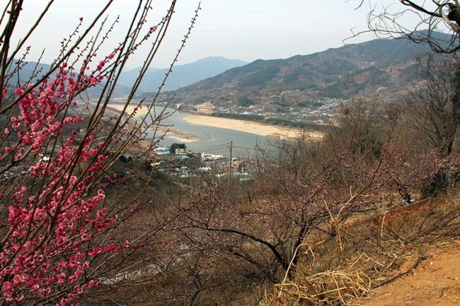 딱 한 숟가락에 섬진강을 먹는 느낌