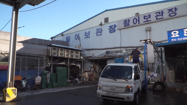 새 노량진 수산시장... 저기 들어가면 다 망한다