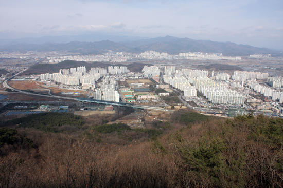 세 아들과 함께 같은 날 전사한 박응성 의병장