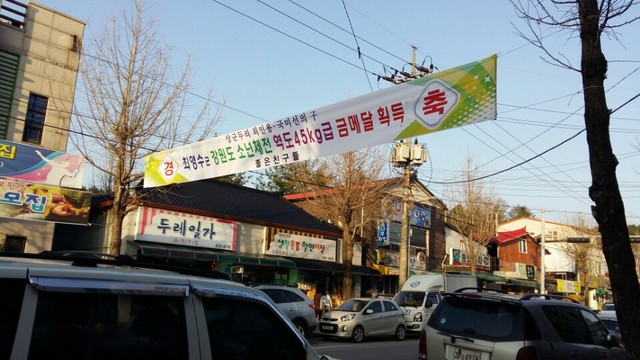홍천을 역도의 고장으로 만든 이 사람