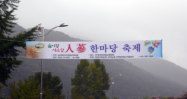 바삭바삭 인삼튀김을 아시나요