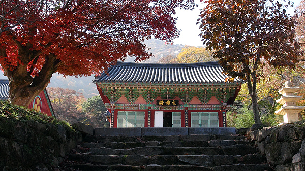 몇 장 사진으로 담은 가는 가을, 오는 겨울