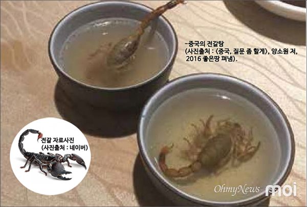 [모이] 전갈을 탕으로 먹다니, 이거 실화냐? 