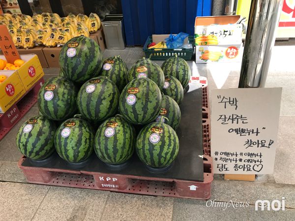 [모이] 수박 잘 사주는 예쁜 누나 찾아요