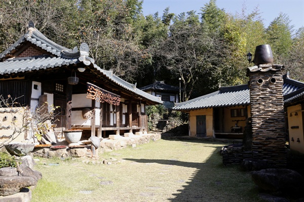 가을의 뒤태, 붉은 산수유가 불을 지르는 곳