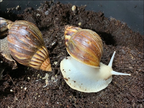 귀농 힘들다, 힘들다, 힘들다  직장은 쉽냐, 쉽냐, 쉽냐