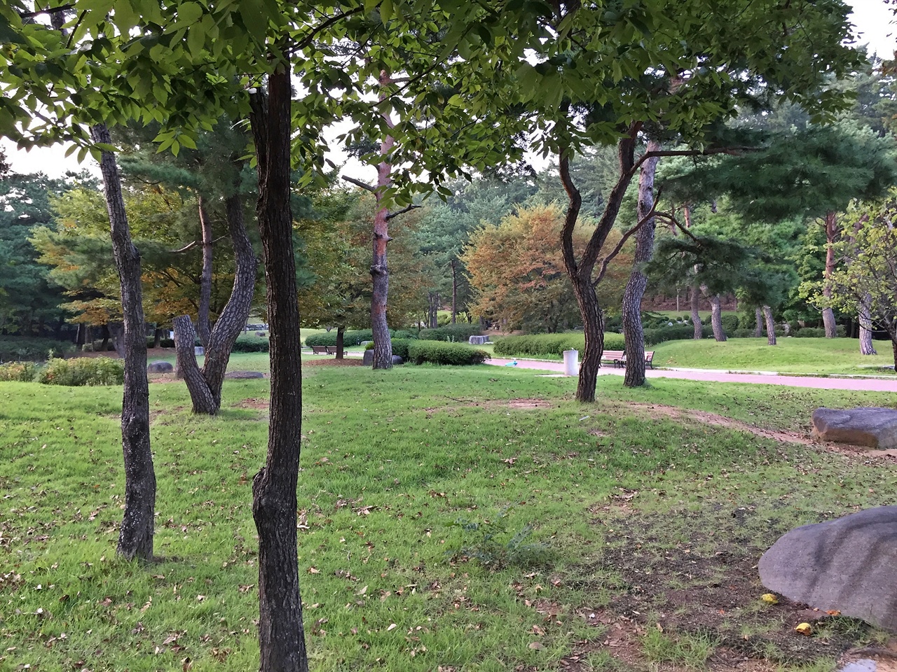 곧 터집니다, 억새의 명소