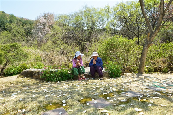 나는 동광원 사진사입니다... 늙은 소녀들의 14년 삶