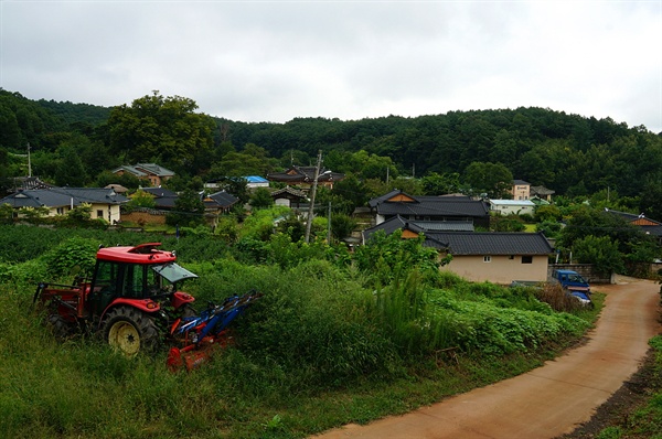 금방이라도 기어나올 것 같은, 배추벌레 닮은 이것