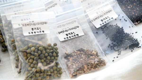 토종씨앗이 사라진다... 전국 최대 규모 토종종자은행 운영