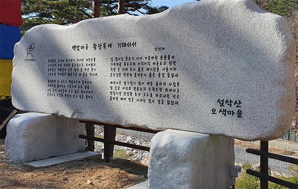 예산 지원 캠핑장에 양양군수 시비 등장... 철거 예정