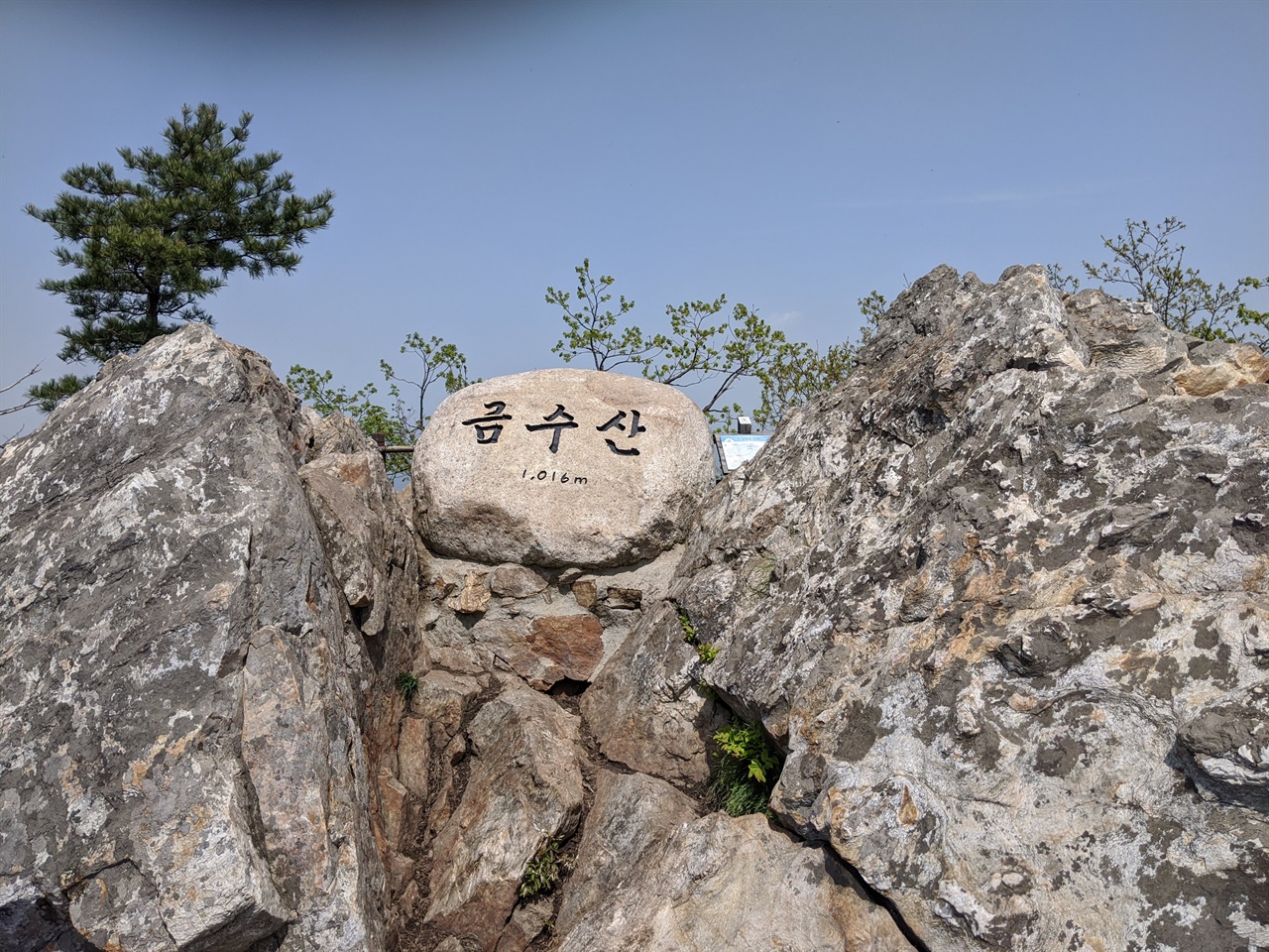 연달래가 가득한 금수산, 이름값 하네요