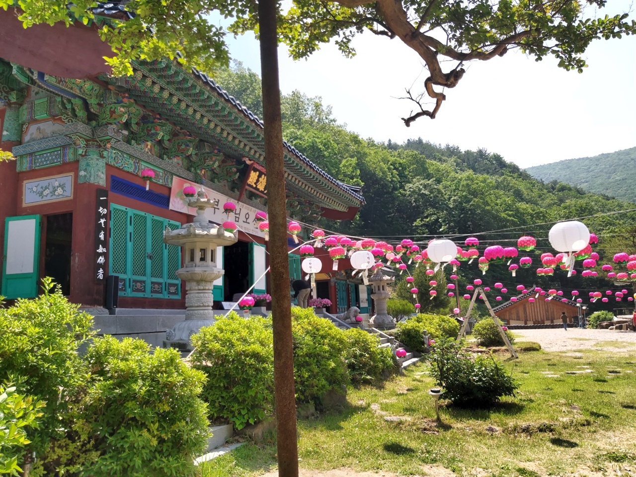 호랑이가 품은 사찰, 영동 반야사