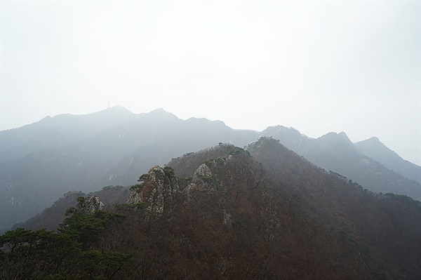 [사진] 계룡산의 봄 풍경