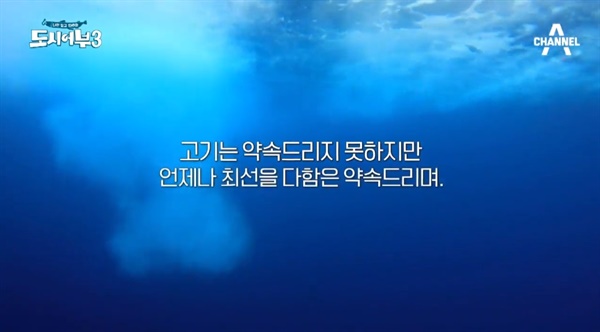 믿고보는 낚시 예능의 귀환, 도시어부를 기대하는 까닭
