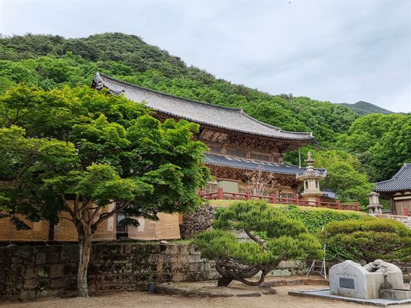 부처님 오신 날, 구례 화엄사에 가면