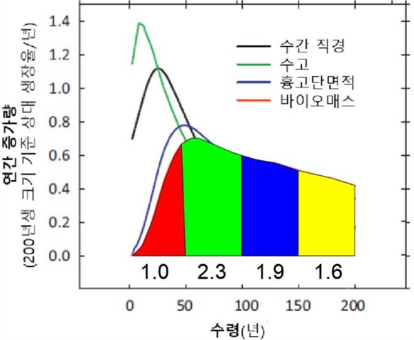 [재반론] 어린 나무 베어버린, 산림청이 말하지 않는 불편한 진실