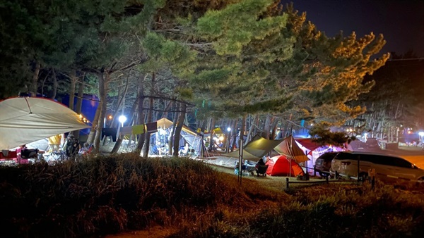 국립공원 해수욕장 내 야영장, 한시 영업 가능할 듯