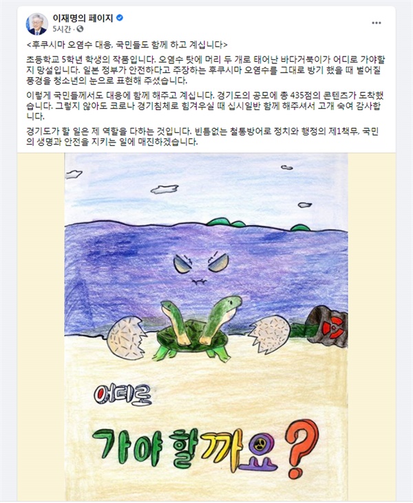 이재명 머리 두 개 거북이 포스터 공유, 왜?