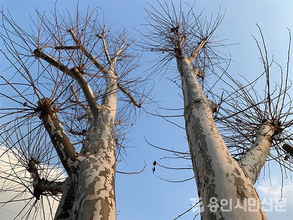 겨울, 색을 입다