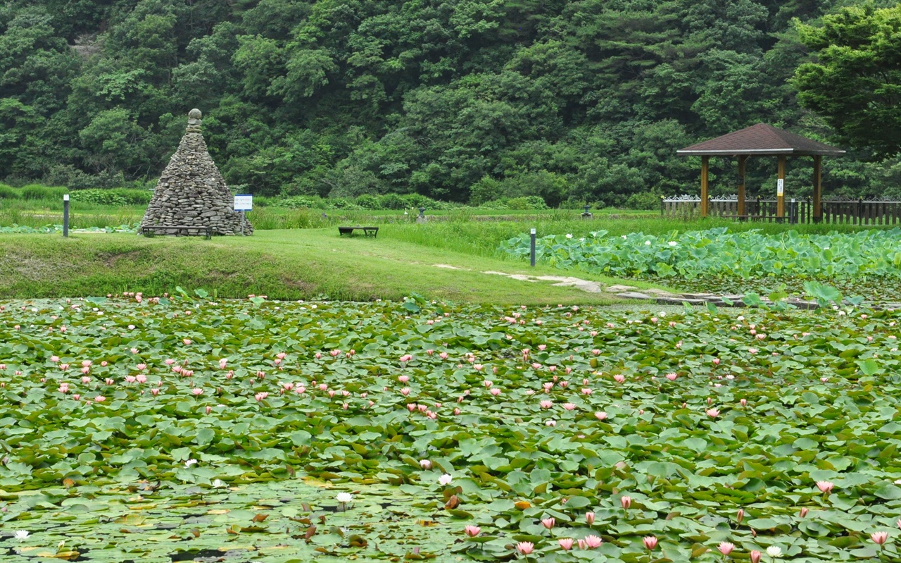 능소화, 수국, 연꽃... 여기서 다 볼 수 있어요