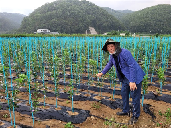 돈 장사에서 조합원 농산물 판매하는 농협으로