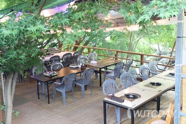 원주시 금대계곡 사유화? 식당 계곡 점령, 단속 나섰다