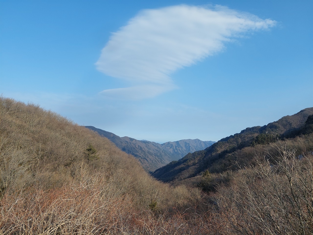 오대산 노인봉 등산로에서 느껴본 화전민의 자취