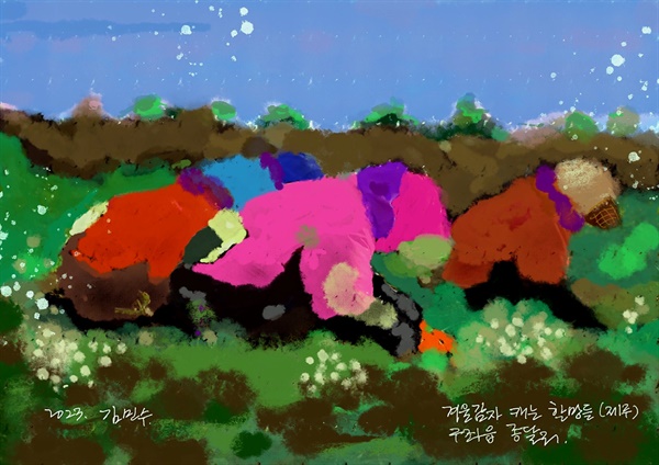 더불어 사는 법을 알려주는 제주의 감자 걷이