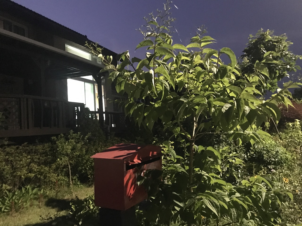 전원주택 찾아 삼만리, 결국 만났습니다