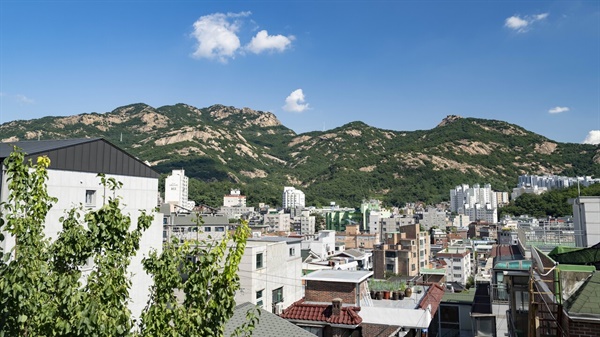 불광동 지역주택조합 대행사 대표 검찰 송치