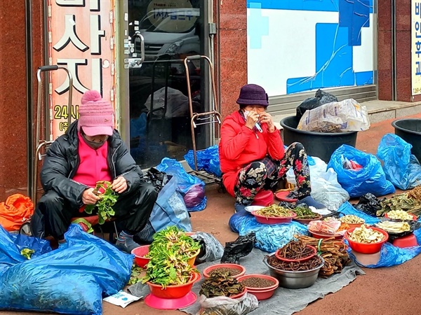 값싸고 싱싱한 채소 가득... 해 뜨면 사라지는 반짝시장